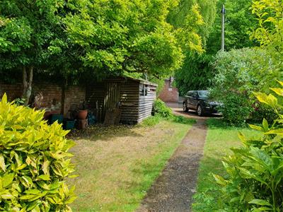 Picture 20